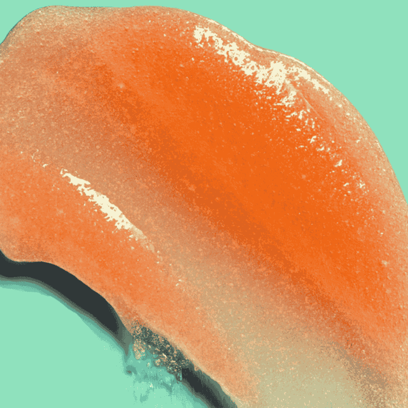 Body Care Scr Crp TH Bikini Reef Sugar Scrub 510 g